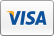 Visa Icon cc visa